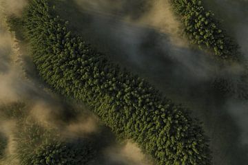 Vue aérienne au-dessus d'une bande de forêt dense recouverte de brouillard sur Besa Art