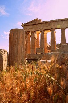 Parthenon / Athen / Griechenland von Sabrina Varao Carreiro