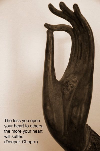 Des te minder je je hart openstelt voor anderen, des te meer zal je lijden. par Cora Unk