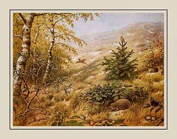 Schoolplaat M.A.  Koekkoek - "In het Duin"