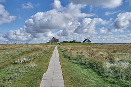 Hamburg Hallig,North Sea,North Frisia,Germany by Peter Eckert