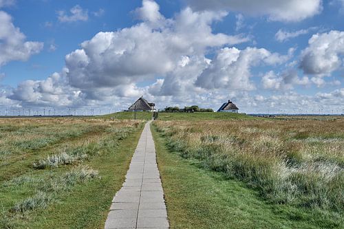 Hamburg Hallig,Noordzee,Noord-Friesland,Duitsland