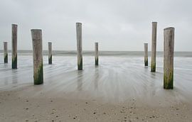 Côte de la Mer du Nord sur Jeannette Kliebisch