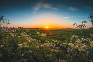 Walcheren zonsondergang 2 van Andy Troy