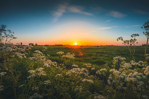 Walcheren zonsondergang 2