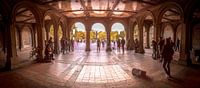 Central Park, New York - Panorama by Maarten Egas Reparaz thumbnail