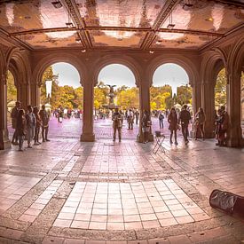 Central Park, New York - Panorama by Maarten Egas Reparaz