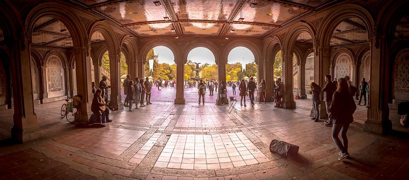 Central Park, New York - Panorama by Maarten Egas Reparaz