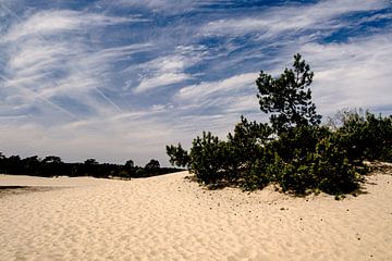 Sandverwehung an einem sonnigen Tag von Ineke Huizing