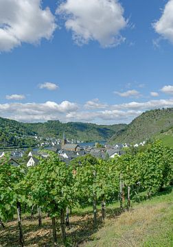 Wine village Alken on the Moselle by Peter Eckert