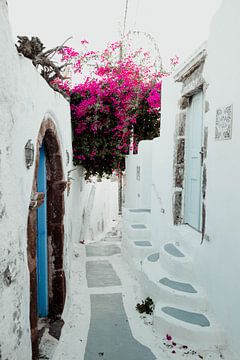 straßen von santorini von shanine Roosingh