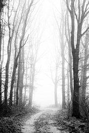 Petit sentier forestier brumeux en noir et blanc – Image d'ambiance sur Femke Ketelaar
