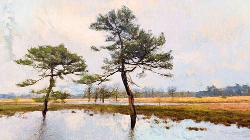 Onder water (Het Leersumse Veld)