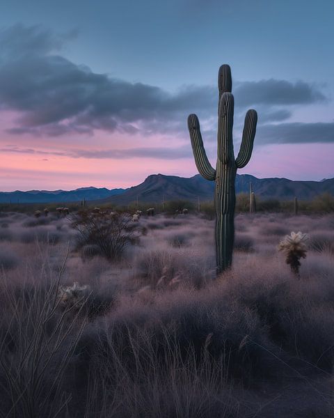 Uitzicht op het woestijnlandschap van fernlichtsicht