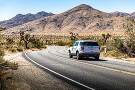 Ford Explorer in Joshua Tree National Park von Martijn Bravenboer