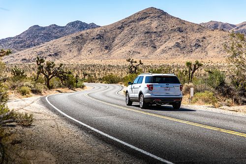 Ford Explorer in Joshua Tree National Park