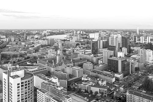 Het geweldige uitzicht op de skyline van Rotterdam