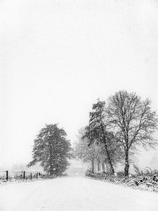 Winter in Brabant