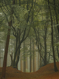 Spaziergang im Frühherbst von Norman van der Geer