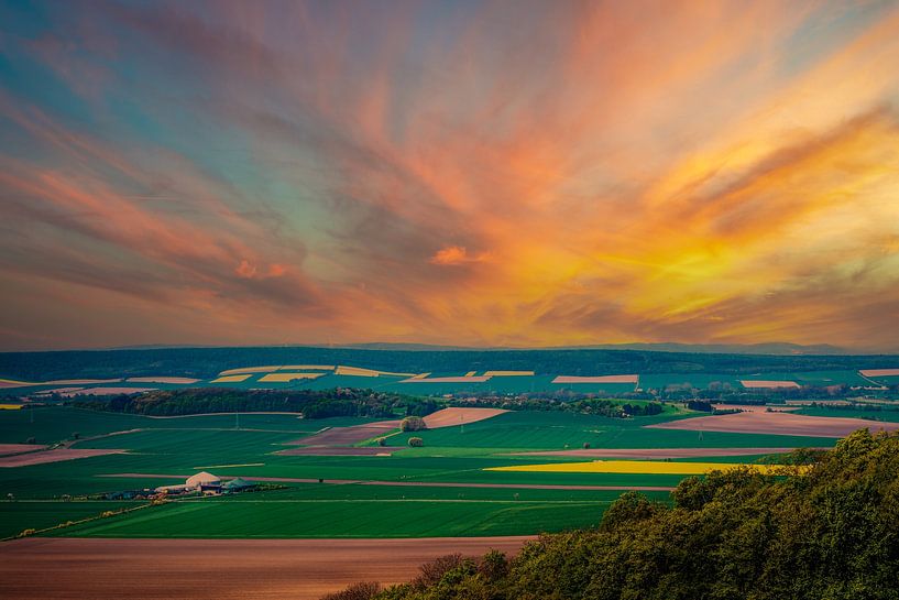 WF RapsFelder von Tim Lee Williams