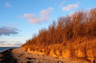 A beautiful winter evening by Ostsee Bilder thumbnail