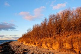 Ein schöner Winterabend von Ostsee Bilder