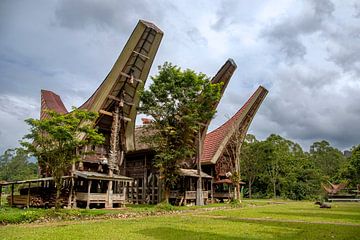 Toraja huizen in Indonesie. van Floyd Angenent