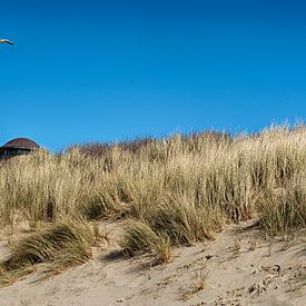 De zeeuwse kust van Alied Kreijkes-van De Belt