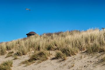 De zeeuwse kust van Alied Kreijkes-van De Belt