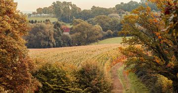De herfst komt eraan in Zuid-Limburg by John Kreukniet