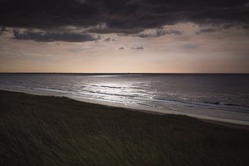 Dutch dunes ocean view van Sandra Hazes