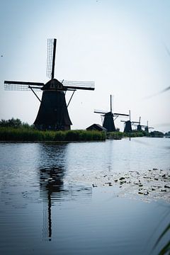 Mühlen in Kinderdijk | Touren in Holland von Amy van Loon