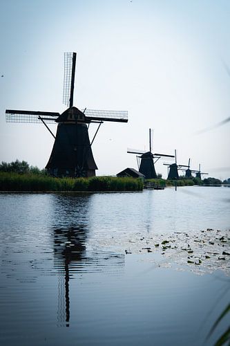 Mühlen in Kinderdijk | Touren in Holland von Amy van Loon