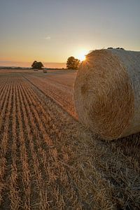 Coucher de soleil, balles de paille à Groß Stresow