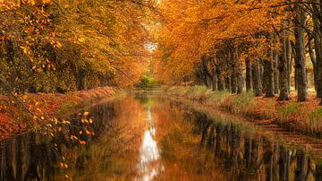 Herfstkleuren boven het water van Hans Buls Photography