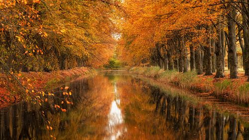 Herfstkleuren boven het water