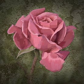 pinkfarbene Rose von Dieter Beselt
