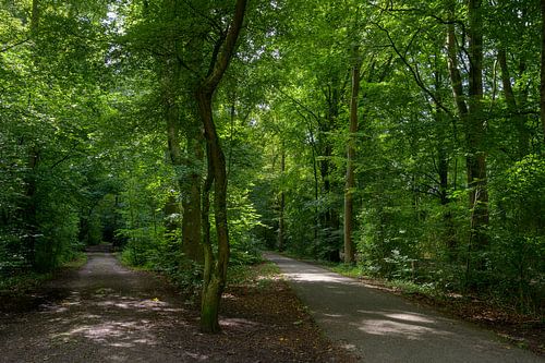 Amsterdamse Bos