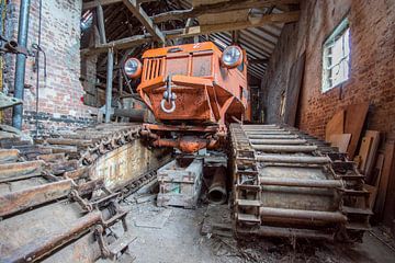 Snowcat van Tom van Dutch