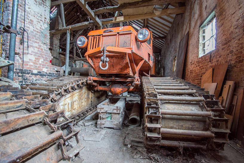 Snowcat by Tom van Dutch