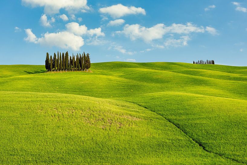 Hügellandschaft in der Toskana par Michael Valjak