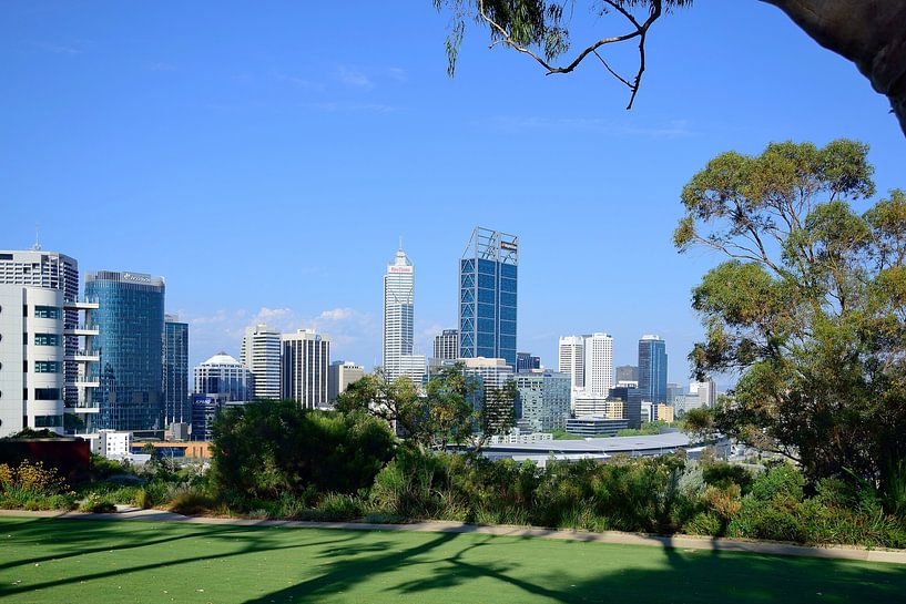 Vue de sous l'arbre par Frank's Awesome Travels