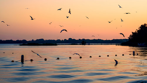 Freizeitgebiet „De Zuwe“ in Kortenhoef