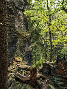 Bielatal, Sächsische Schweiz - Felswand nahe Daxenstein