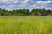 The village of Laar (called Loar) is situated near Weert.