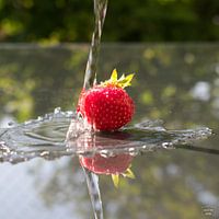 la fraise sous l'eau