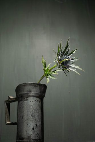 tinnen kannetje met blauwe distel