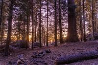 Zonsondergang in Sequoia National Park