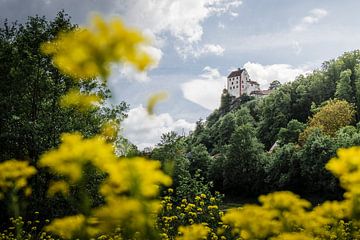 Burg Egloffstein im Frühling