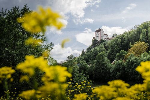 Burg Egloffstein im Frühling von Timothy Morrell